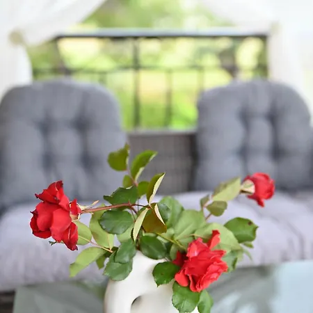 Διαμέρισμα Evas *